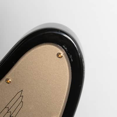 Epiphone Rex Brown Thunderbird Bass, Ebony | Demo image 17