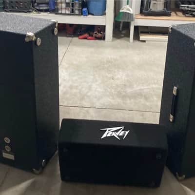 $200 for all 3: 2 each Peavey speakers 1210HS and 1 each TLM 112 Mid 1990s - 1210s = Hard cabinet-tolex covering TLM 112=carpet image 2
