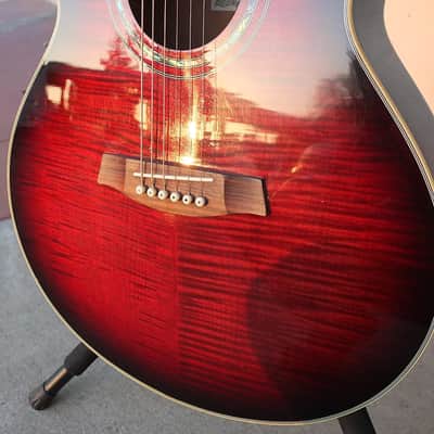 Ibanez AEL20-TRS-14-01 image 6