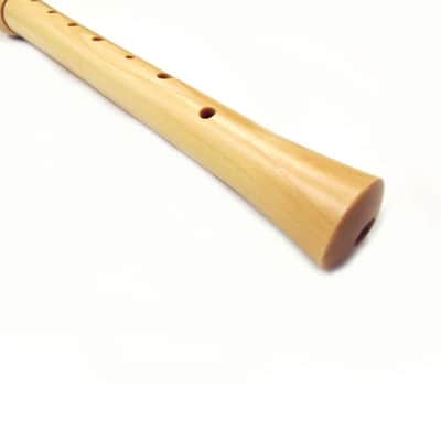 English - Style Wooden Soprano Recorder: A Great Choice for Beginners in Music Class image 6