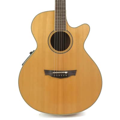 Parkwood Acoustic Owned by Greg Howe image 4
