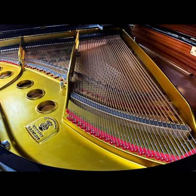 Legendary Craftsmanship: Steinway & Sons Model M Grand Piano image 11
