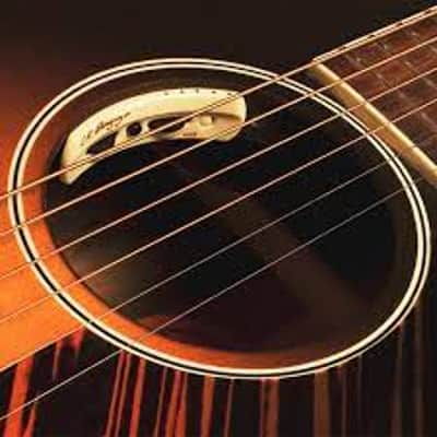 L.R. Baggs Anthem Acoustic Guitar Pickup & Microphone image 2