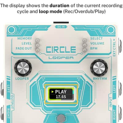 Circle LOOPER & Drum Machine Guitar Effect Pedal image 10