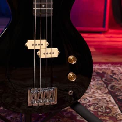 Washburn SB4B Wing Series Scavenger Ashwood Body 4-String Electric Bass Guitar image 16
