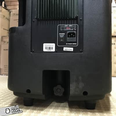 Edison Powered 15" PA Speaker / Monitor image 7