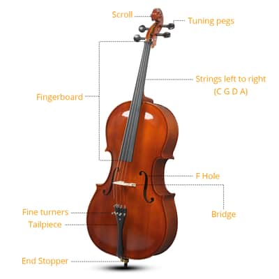 Full Size 4/4 Natural Color Spruce/Maple Cello Tiger Stripe Figure with Bag Bow Rosin Bridge Strings 2020s image 3
