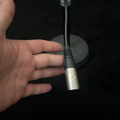 AKG D12. Restored image 10