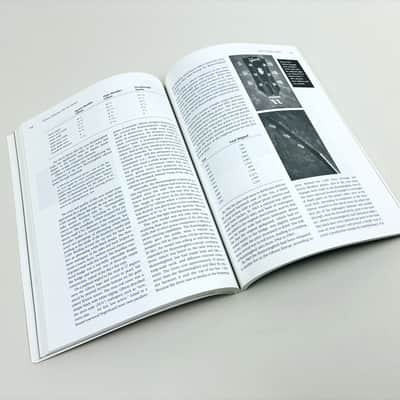Gibson Fabulous Flat-Top Guitars – Illustrated History & Guide (Paperback) image 3