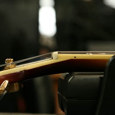 Aria Pro II FA-70 Jazz Hollowbody Archtop in 3 Color Sunburst image 17