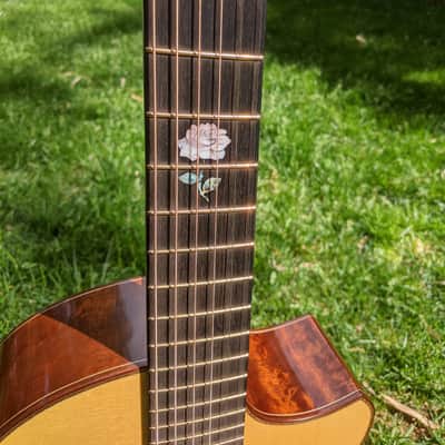 2019 The Tree Sexauer FT-000-C German Top Multi-Scale Fanfret Hot Hide Glue Varnish #2870219 image 12