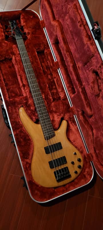 Ibanez SDGR 2015  Natural Wood Grain image 1