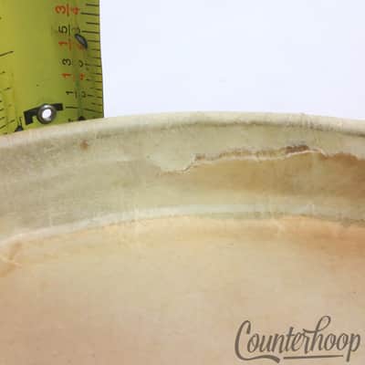 *Vintage 6 7/8" Calf Skin Bongo Drum Head 50s Latin Hand Percussion USA* image 3