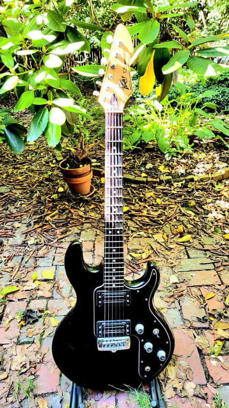 Peavey T-25 Special, Made in USA 1983, Pro Serviced image 1