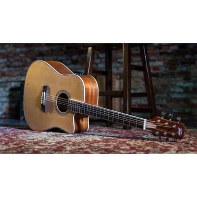 Peavey Delta Woods DW-2 CE Electro-Acoustic Guitar image 3