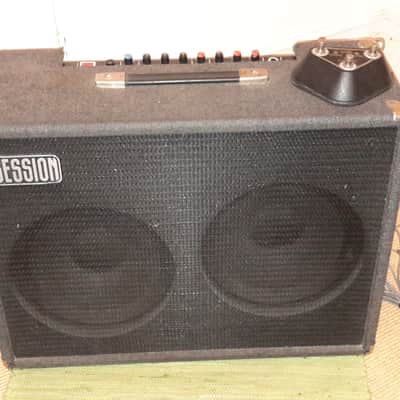 Session Sessionette 75 2x12 combo image 1