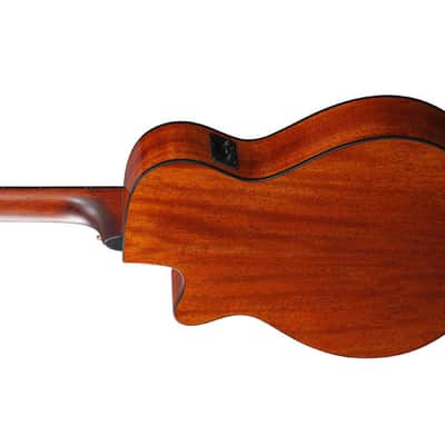 Ibanez AEG50N NT Nylon String - 4/4 classical guitar image 4