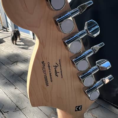 Squier Stratocaster 2011 NOS Black & Chrome image 15