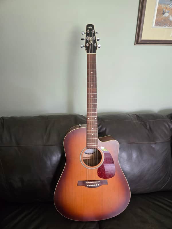 *With Case, Strap and Capo* Seagull Entourage Dreadnought CW QIT 2010s - Autumn Burst