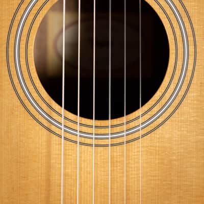 Taylor 214ce-N Nylon Grand Auditorium Acoustic/Electric Guitar with Gig Bag image 8
