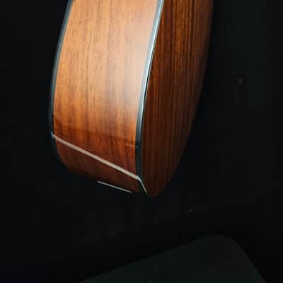 Breedlove ECO Discovery S Concert CE 12-string Acoustic-electric Guitar - Edgeburst - NEW image 11