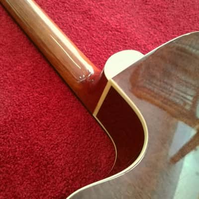 Takamine EG530SSC Natural image 11