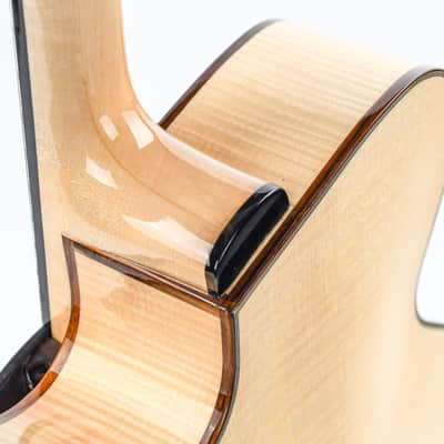 Eastman PG2 Pagelli Archtop Recent image 9