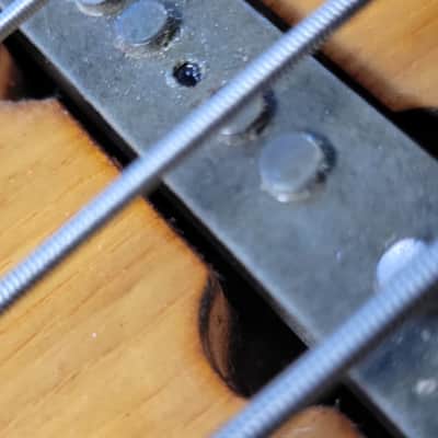 Fender Jazz bass 1978/1981 USA dot neck  HC image 17