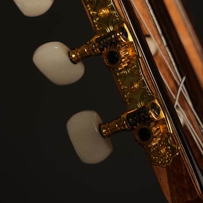 Double Top Classical Guitar image 8