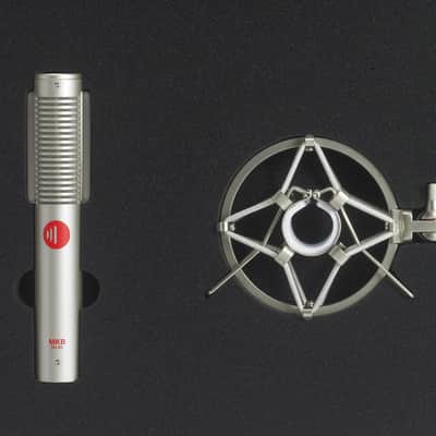 DS-R5 Dynamic Ribbon Microphone Silver image 3