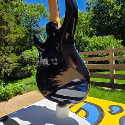 Squier MB-4 Modern Bass 2002 - 2010 - Skull and Crossbones image 20