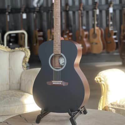 Fender Monterey Standard MAH image 4