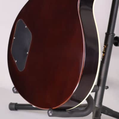 Eastman SB58/TV Sunburst (Limited Edition) 2025 image 8