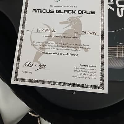 Emerald Amicus 2026 - Black carbon fibre image 4