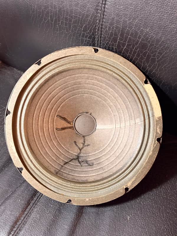 Fender CTS alnico 10”