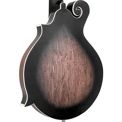 Mint Gold Tone F-6 F-style 6-String Acoustic-Electric Mando-Guitar - Vintage Sunburst image 9