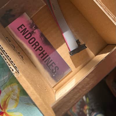 Endorphin.es Ghost Eurorack Synth Module 2022 - Present - Black image 3