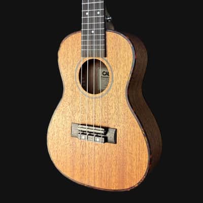Cascha HH 2033 Premium Natural Concert Ukulele W/ Gigbag image 3