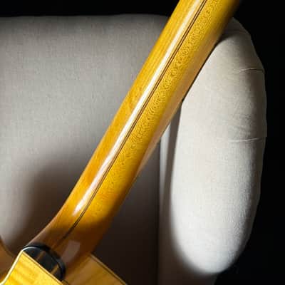 Bozo Podunavac 17" Acoustic Archtop with Calton Case image 16