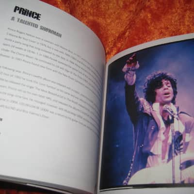 Guitar Gods Book 352 Pages Compact Size image 9