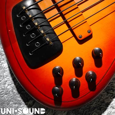 F Bass Alain Caron Signature AC-5 AC5 Fretless image 3