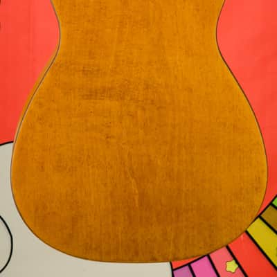 Epiphone Dobro Hound Dog Round Neck Resonator Guitar image 6