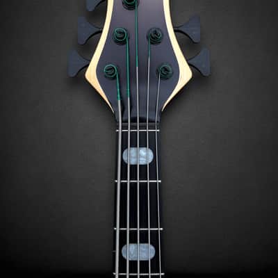 Meridian J-24 5 String 2025 - Carbon Black image 5