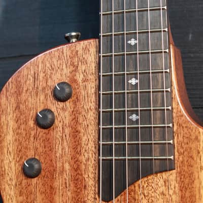 Taylor T5z Classic Mahogany Top Electric-Acoustic Hybrid image 17