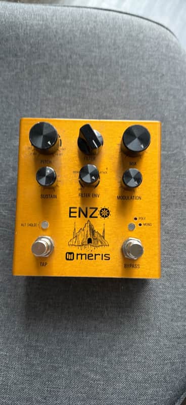 Meris Enzo 2018 - Gold image 1