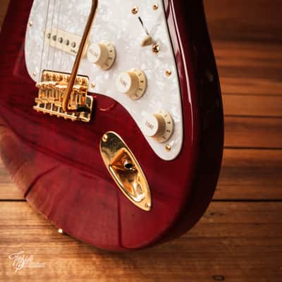 Fender Japan Richie Kotzen Stratocaster STR-RK Transparent Red Burst 2011 image 16