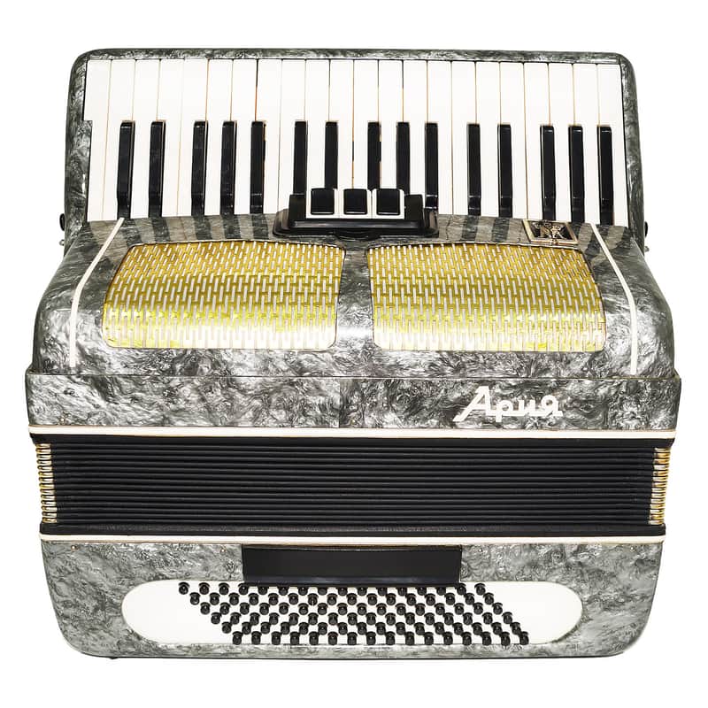 Russian Piano Accordion Ariya 96 Bass Buttons Original Keyboard Accordian New Straps 2174, Wonderful sound! image 1