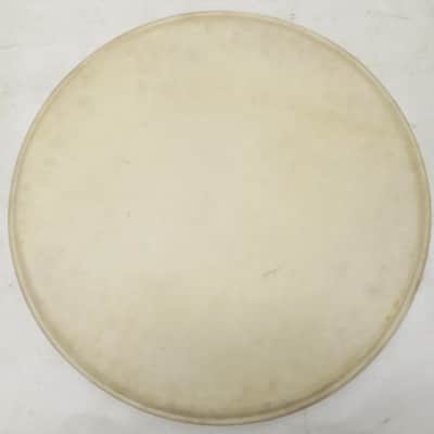2x 16" calf heads-Slingerland/Leedy + 1x 13" calf head-slingerland Vintage Pack image 1