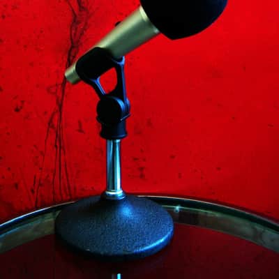 Vintage RARE 1970's AKG Maestro DM-700 dynamic cardioid microphone Low Z w accessories D1000E D190E # 2 image 7