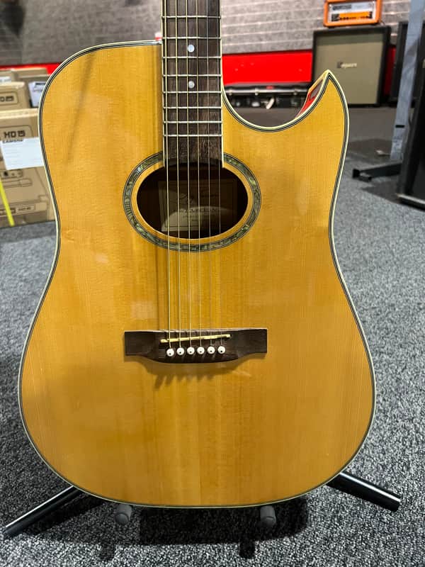 Jay Turser JTA-40CEO-NG 2000’s - Natural image 1